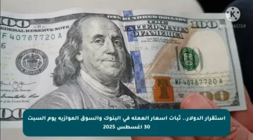 استقرار الدولار.. ثبات أسعار العملة في البنوك والسوق الموازية يوم السبت 30 أغسطس 2025